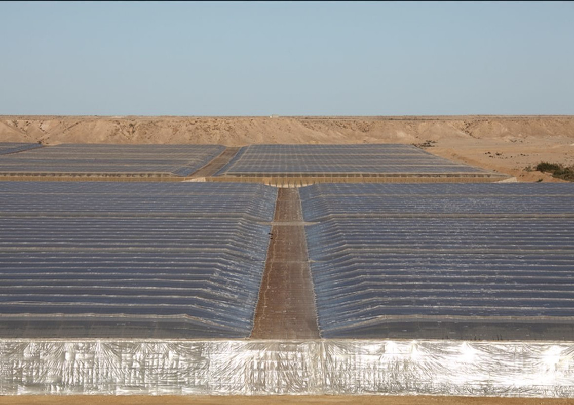 Villa Cisneros (Dakhla) y la Peninsula de Rio de Oro - El Sahara Occidental (179)