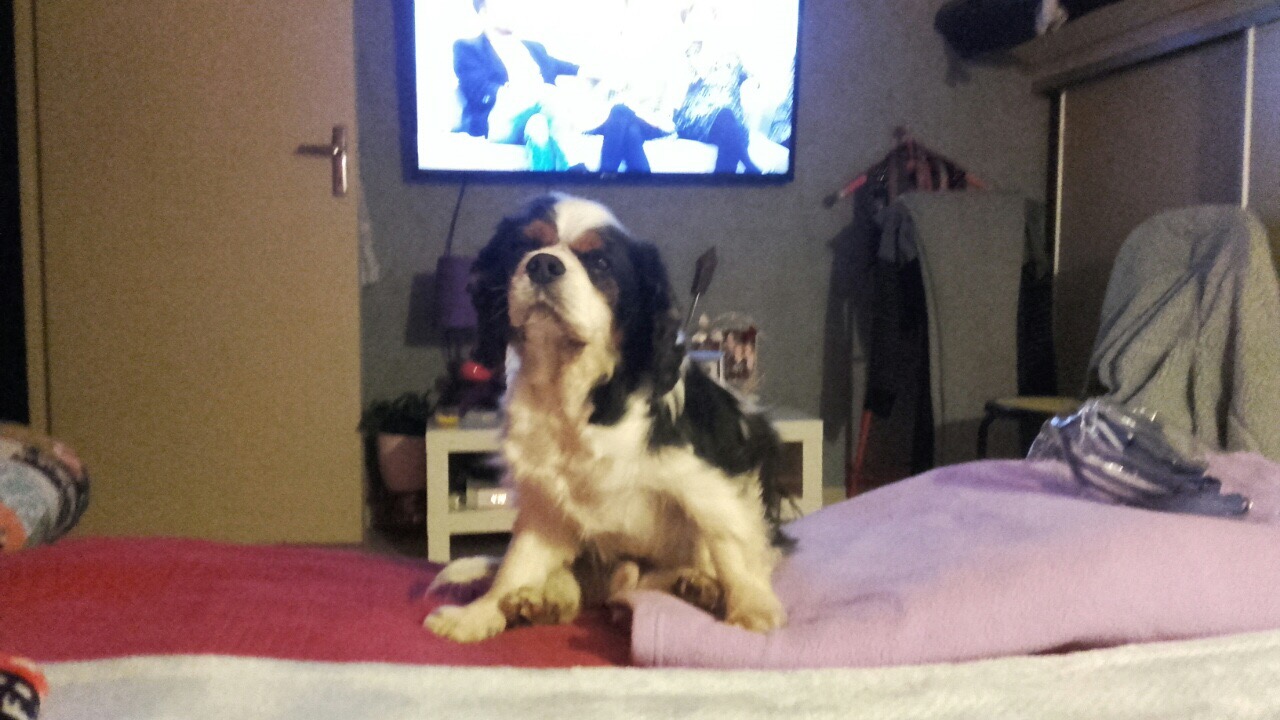 5B37D522-93A0-496F-922F-8F102FE21FD5