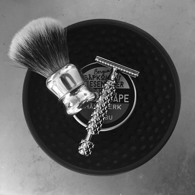 SOTD-20190226.jpg