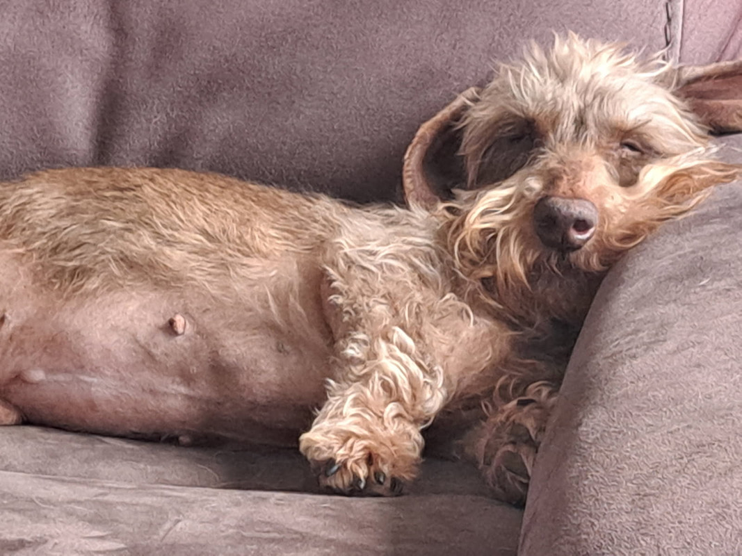 [Image: IMG-20250508-073950.jpg]