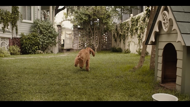 Lady and the Tramp [360p]_Video