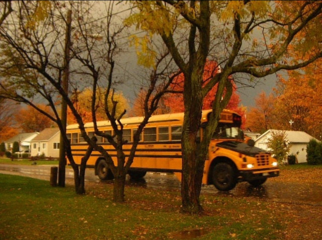 Screenshot_20231207_155415_Instagram