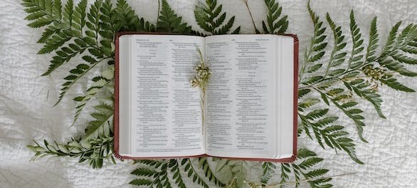 Image of the Holy Bible