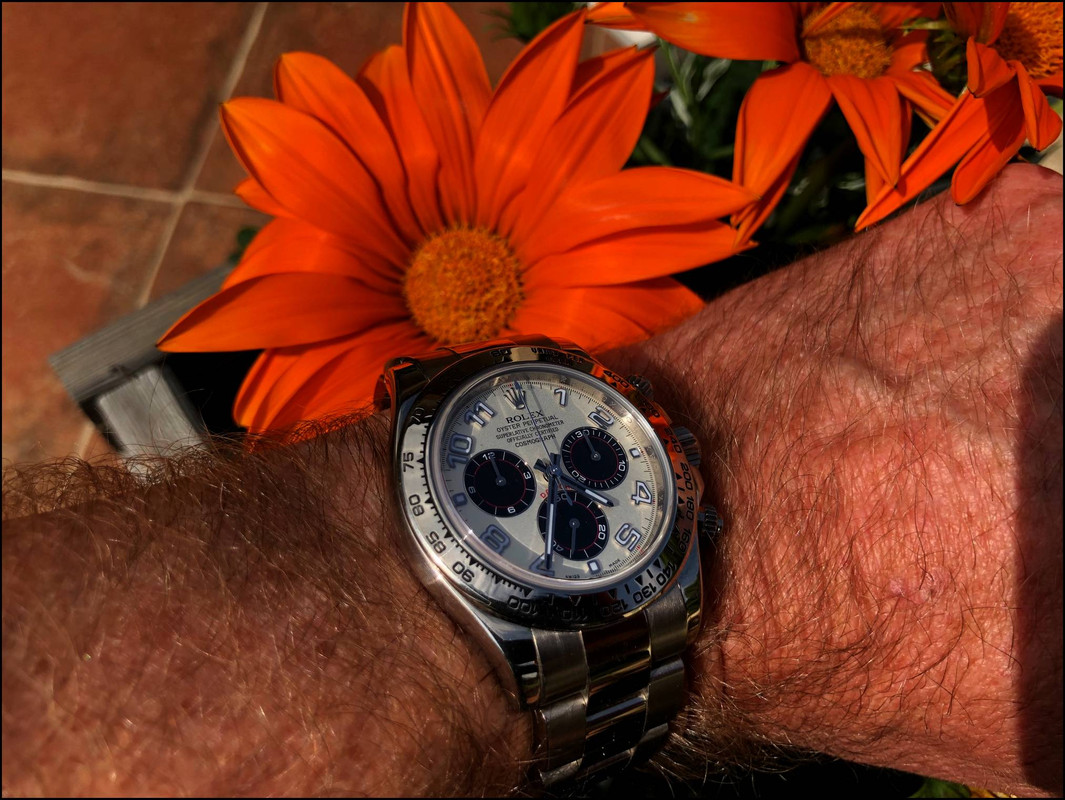 HOMMAGE à ZEN : ici notre plus beau bouquet de ROLEX ! - Page 3 IMG-2999