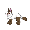 rabbit-m-himalayan-light-brown.gif