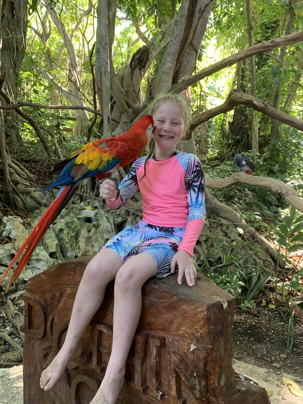 5AF34DDC-7D94-45B7-A7F2-8B416D7C158B