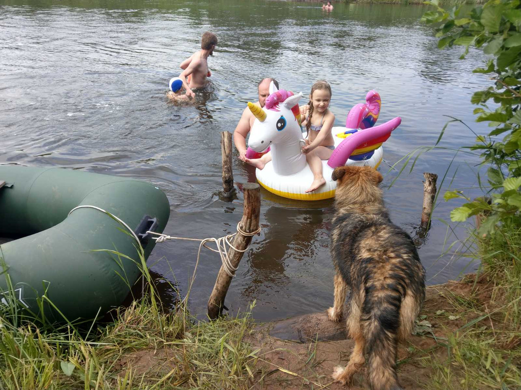 изображение_viber_2020-07-09_21-10-42