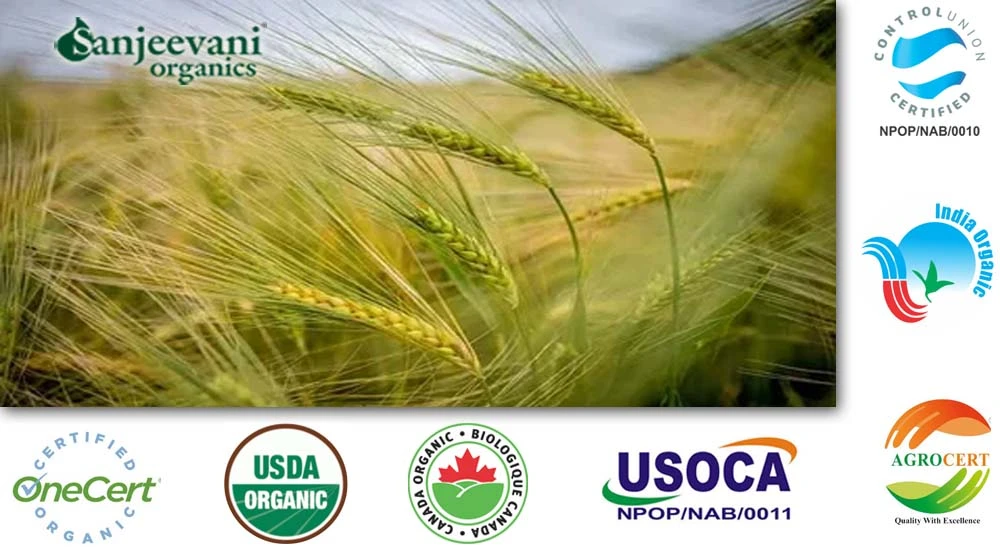 Sanjeevani Agrofoods Certification Standards