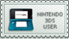 nintnedo-3ds-owner