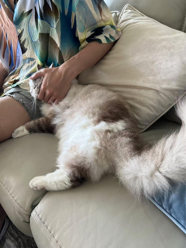 oAb1XAAgnAA6W3fVC3FEgVD1AFA99WAIECf1Dd~tplv-dy-aweme-images-v2_3000_3000_q75