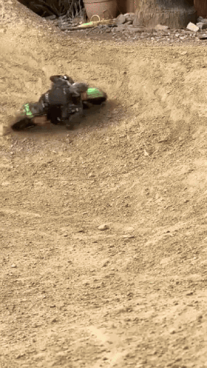 82.gif