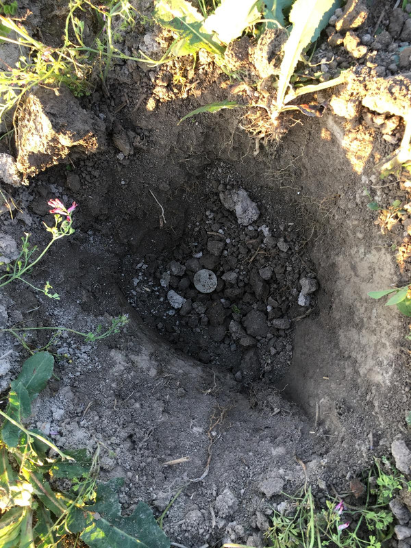 0DBCF505-F5A9-454E-88FA-01ABF50034B2