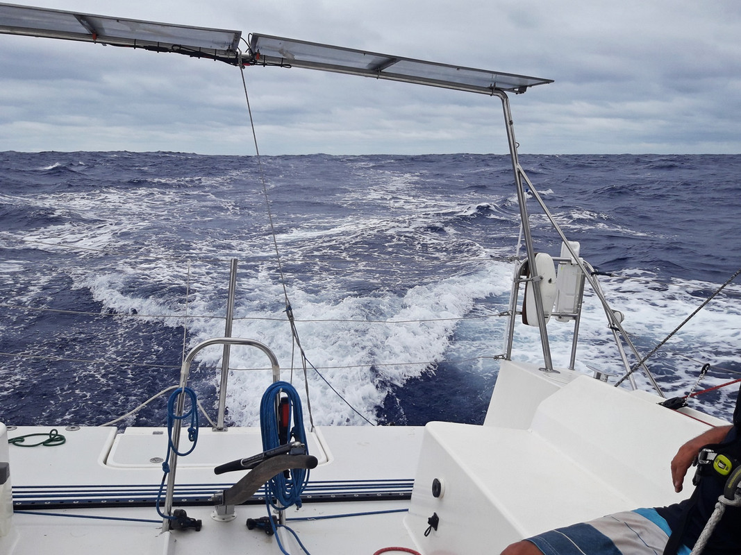 [Imagen: 20200224_124825.jpg]