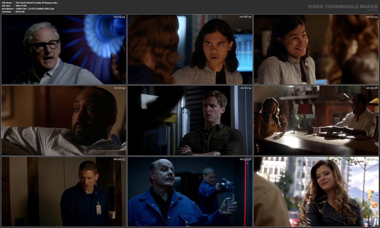 The Flash S02e03 Family Of Rogues.mkv