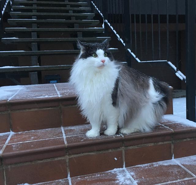 8-EA102-AA-8-FAB-4-DB4-9603-A4-E2-F533-E