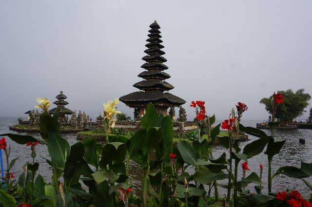 Indonesia y Kuala Lumpur en 18 días: El viaje de mi vida - Blogs de Indonesia - Día 7- Bali: Ubud, Jatiluwih, Bratan y cascada Leke Leke (5)