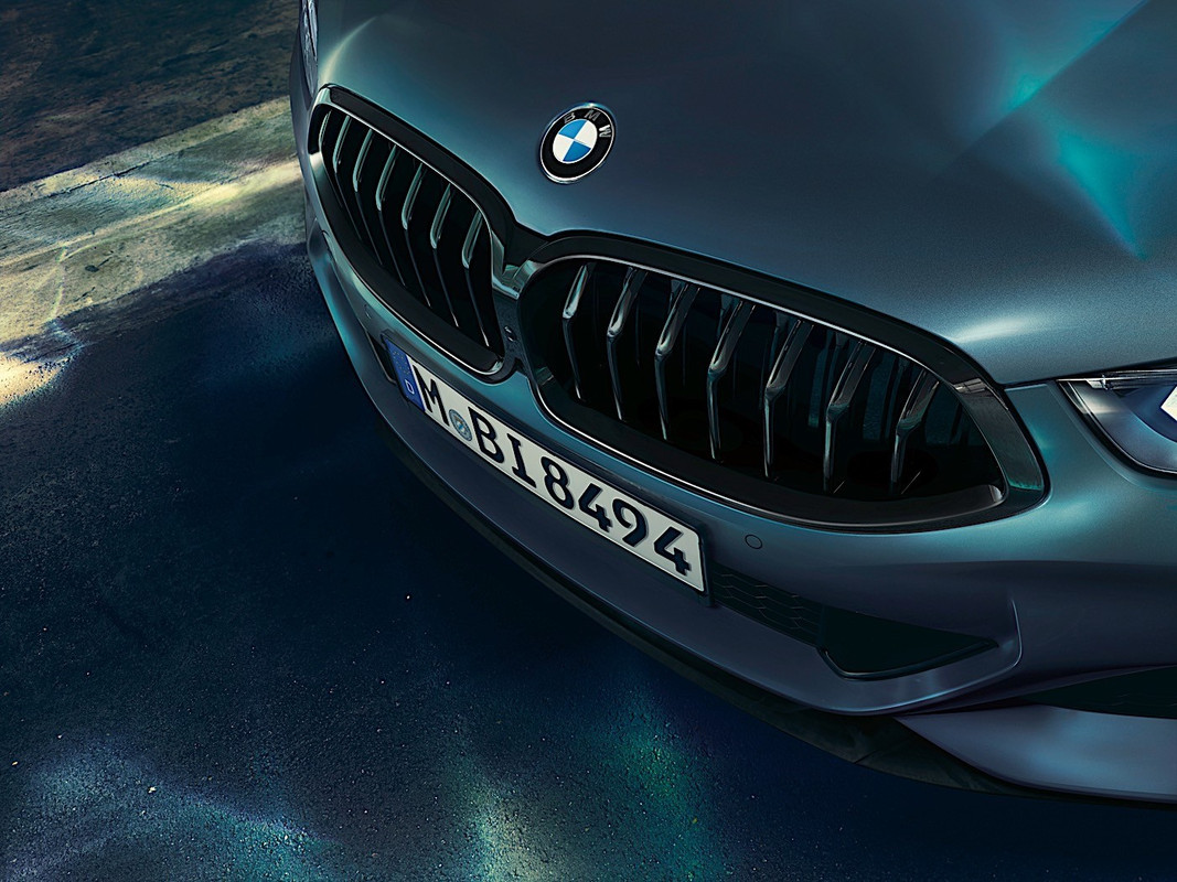 2020 BMW M850i xDrive Coupe First Edition (7)