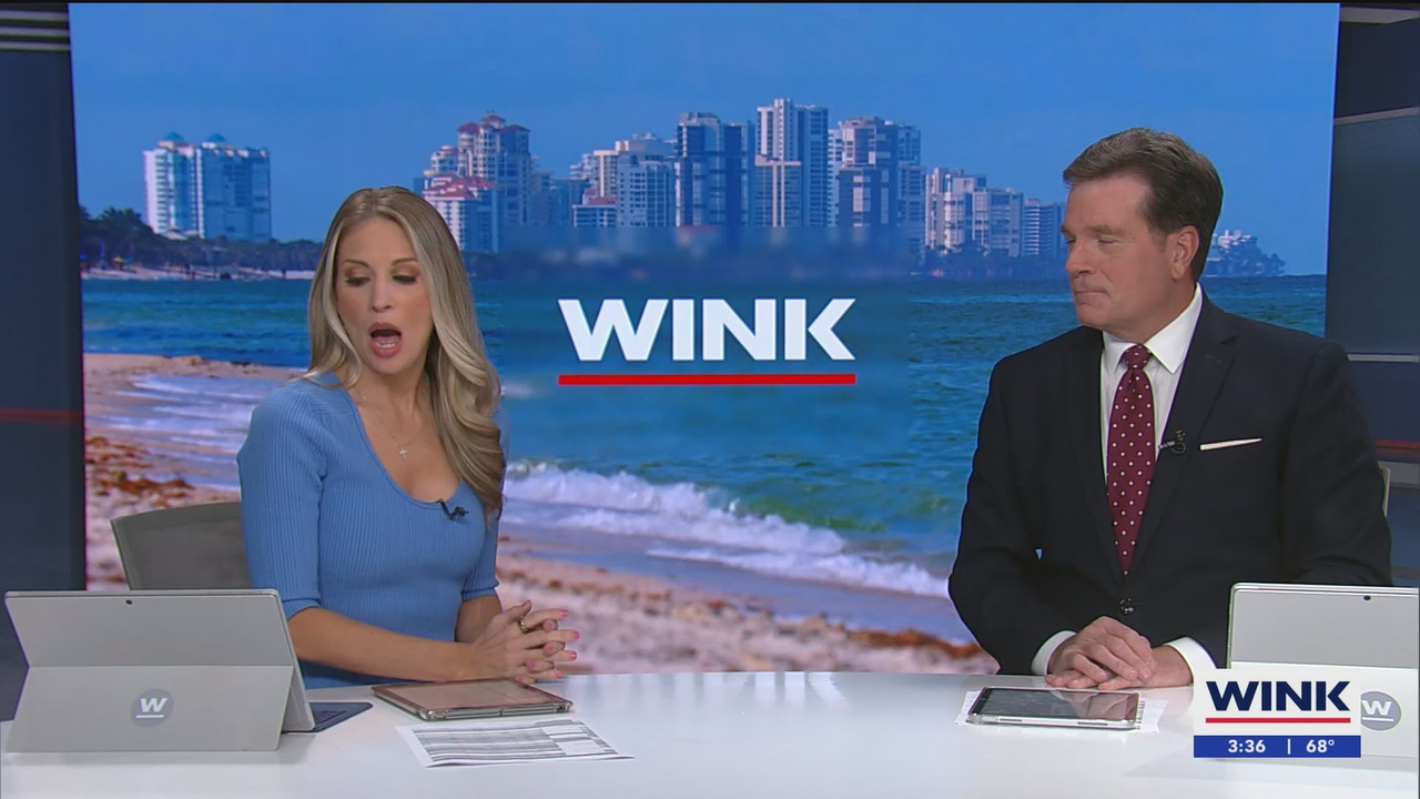 WINK News at 3pm_20250224_20002100.ts_snapshot_00.37.00.238
