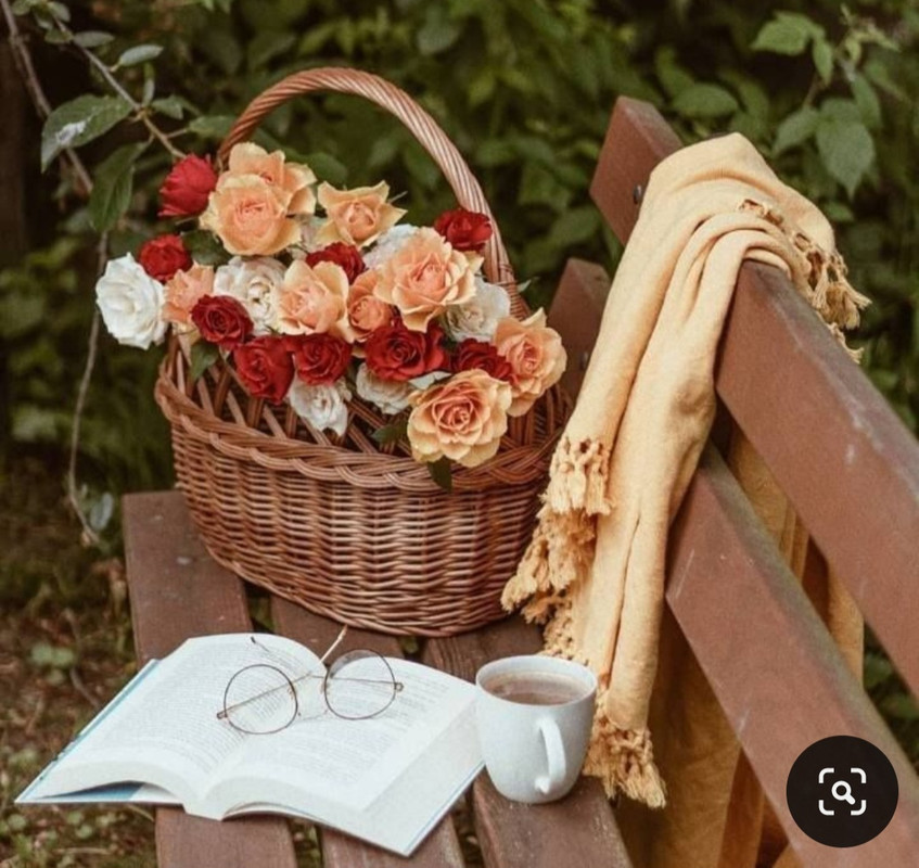 Screenshot_20240604_161043_Pinterest