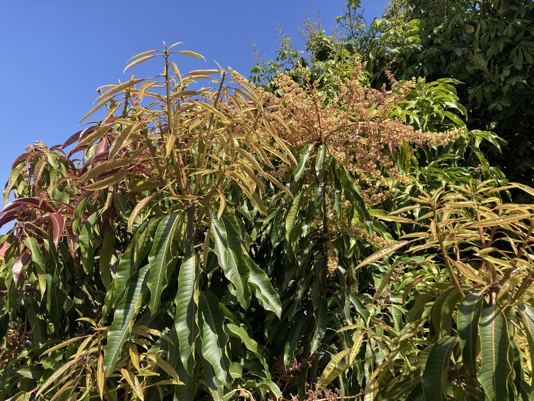 65B9D15E-1BCE-41E1-A317-809EFB5A734F