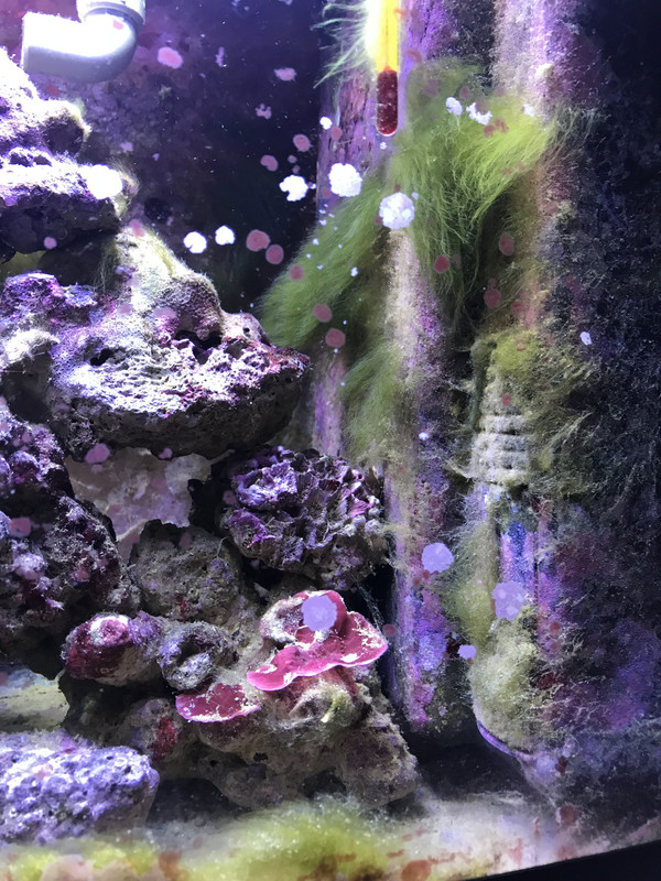 61062948-07F5-47B8-A2A8-A27968374C89