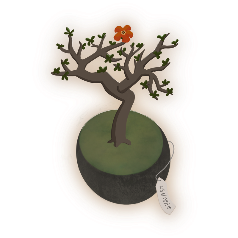 an illustration of a baby plum bonsai in a small round pot. it has one orange flower blooming. the tag attached reads 'maehwa-agi' (baby plum)