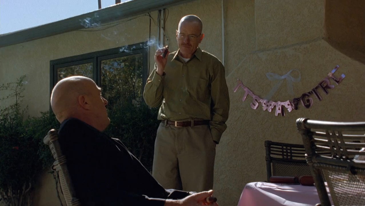 Breaking Bad (2008) Season 1 [Hindi + English] BluRay 480p 720p ESub - Complete Screenshot