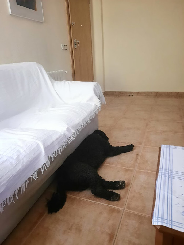 23IMG-20230728-WA0017