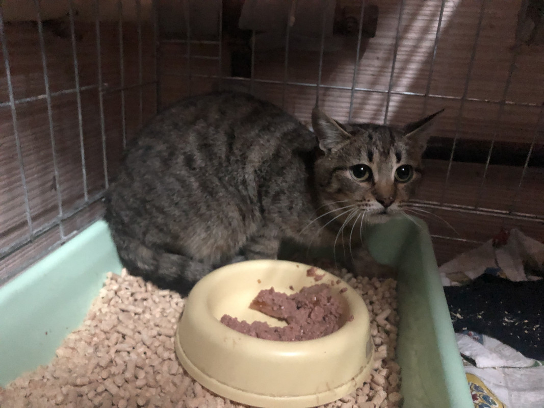 3C7E3820-CACE-4361-9233-BD26A3173589