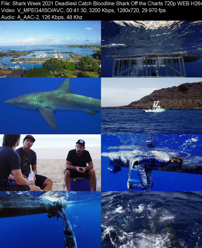 shark-week-2021-deadliest-catch-bloodlin