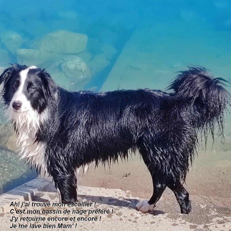 IMG-20260222-122546bb