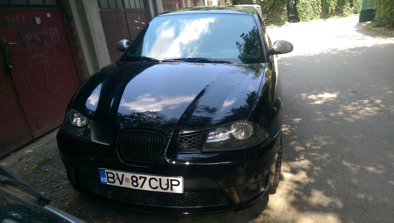 IMAG2800