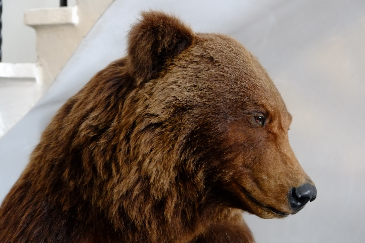 06.24 - DSCF6375 (Brunhilda)