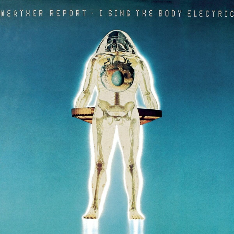 1900x1900-000000-80-0-0