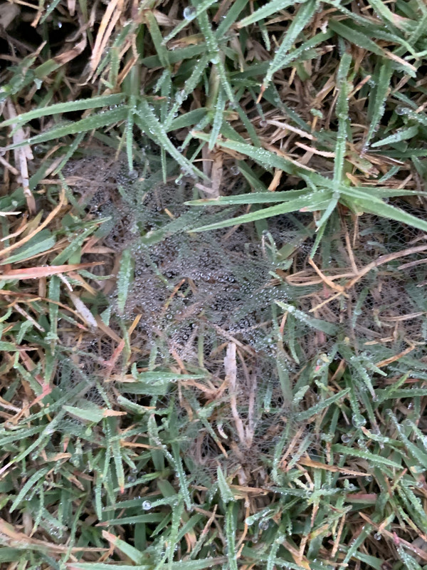 A93D4199-B455-4A94-BB56-CBE080C75A99