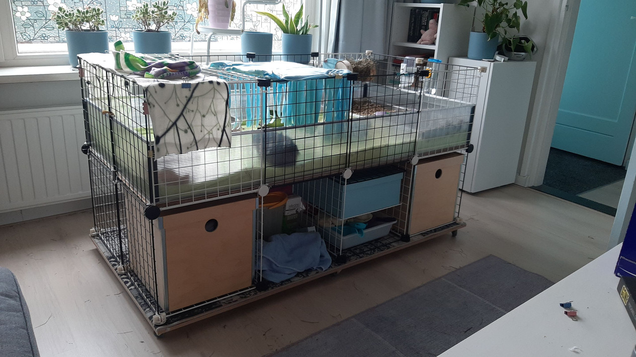 98EDDE9F-1C05-4112-9953-E34430305CAD