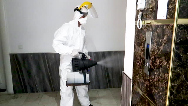 Termite Treatment Kissimmee