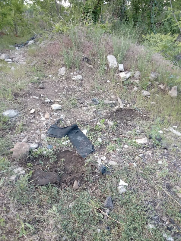 photo 2026 06 01 23 59 54