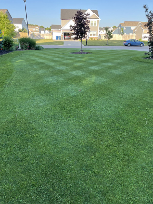 2EF70B41-2CF5-4F12-87BA-CC5D6DC513BC