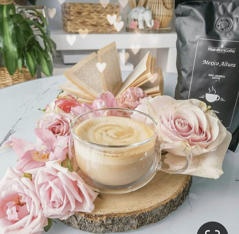 Screenshot_20230717_231604_Pinterest