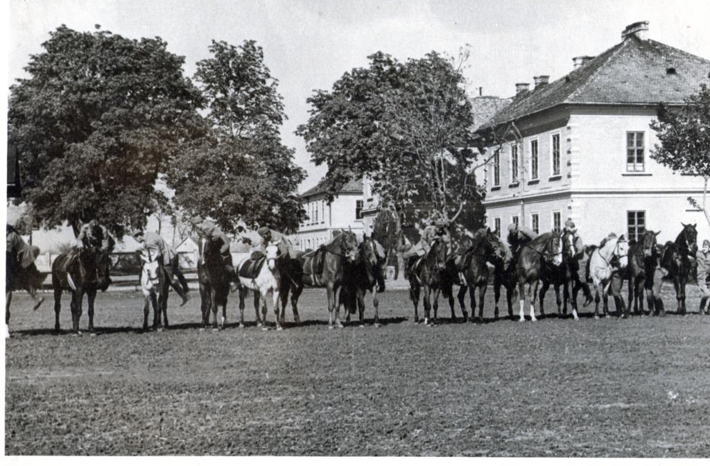 szür f80k40067_1024x672