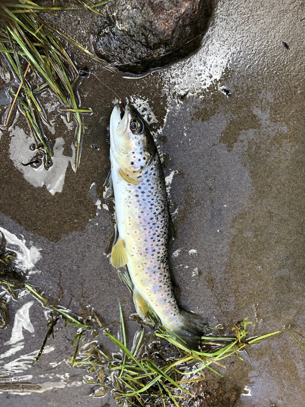 0107EFE5-119F-40D2-BD7C-7C003F44F717