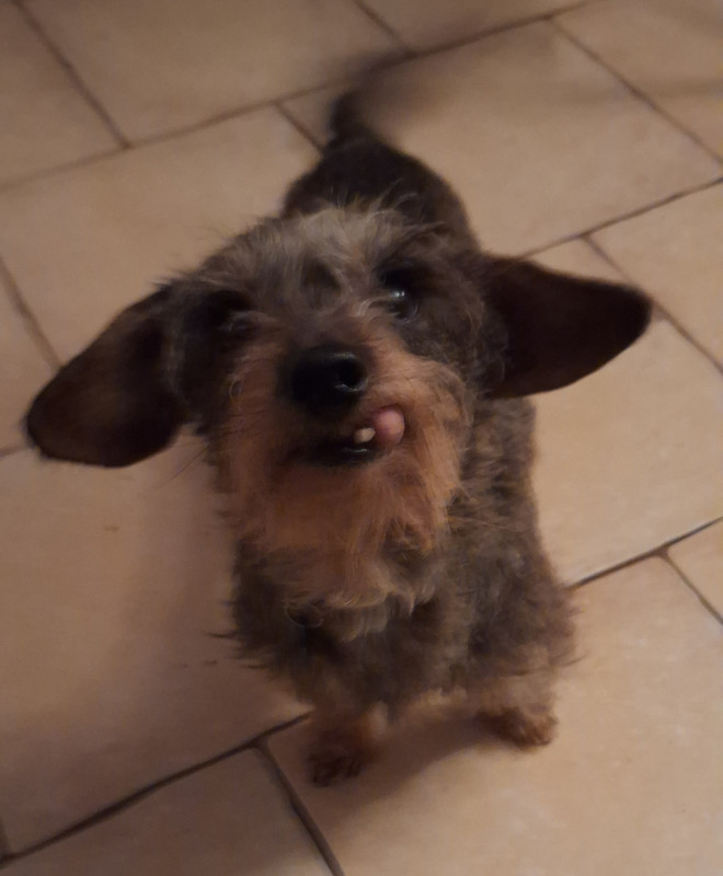 [Image: 20250210-185303.jpg]