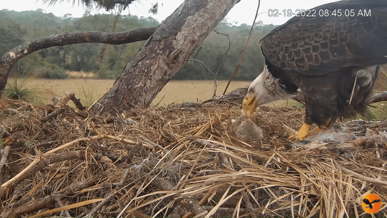 Webp.net-gifmaker (2)