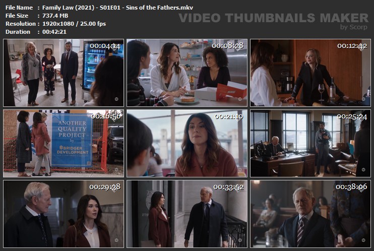 Family Law (2021) - S01E01 - Sins of the Fathers.mkv