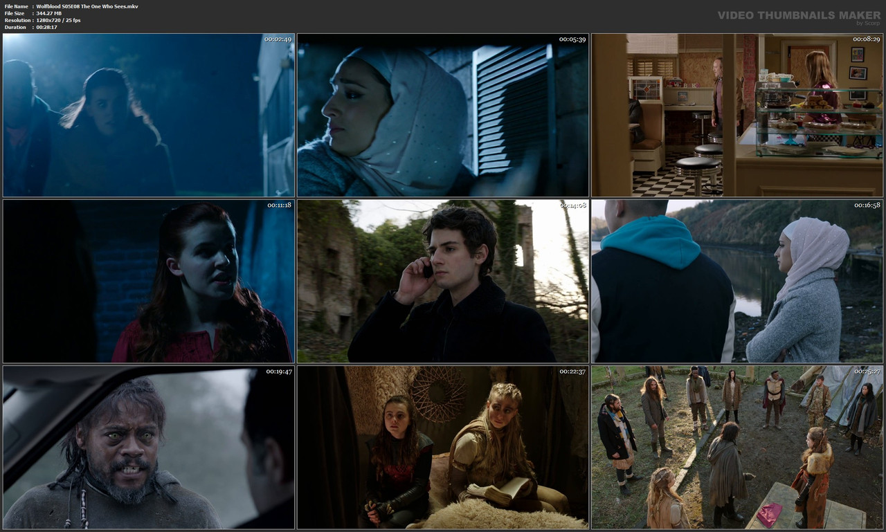 Wolfblood S05E08 The One Who Sees.mkv