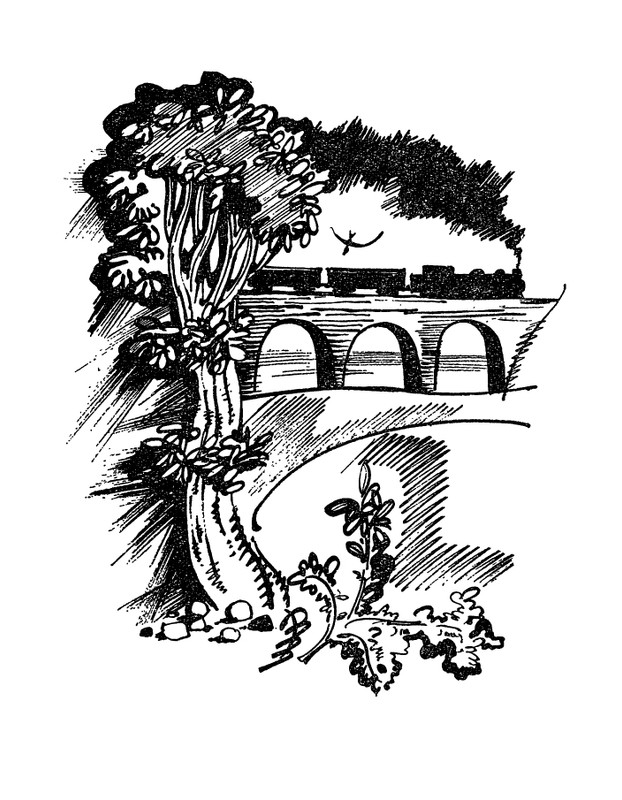 Матвеева Н.Н. - Ласточкина школа - 1973_page-0083