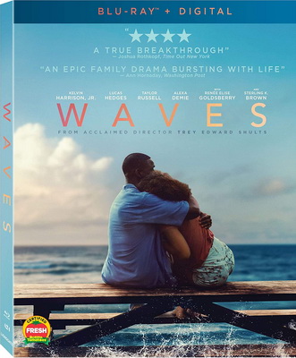 Waves - Le Onde Della Vita (2019) .mkv iTA-ENG Bluray 1080p x264