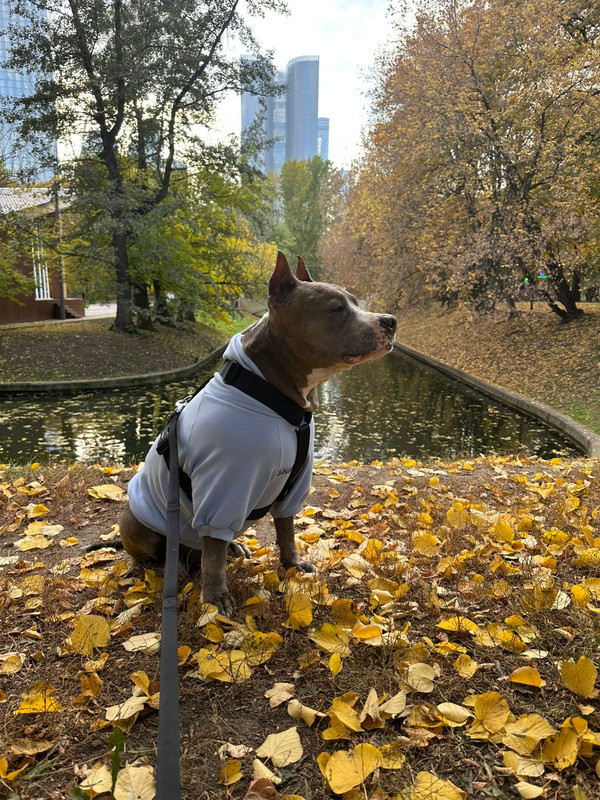 WhatsApp Image 2025-10-09 at 16.06.49 (1)