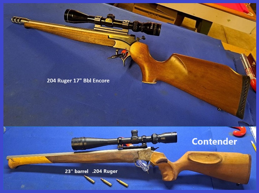 New .204 options - 204Ruger